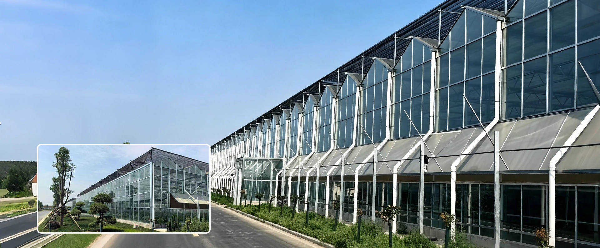 Kínai Multi-span üvegházgyár