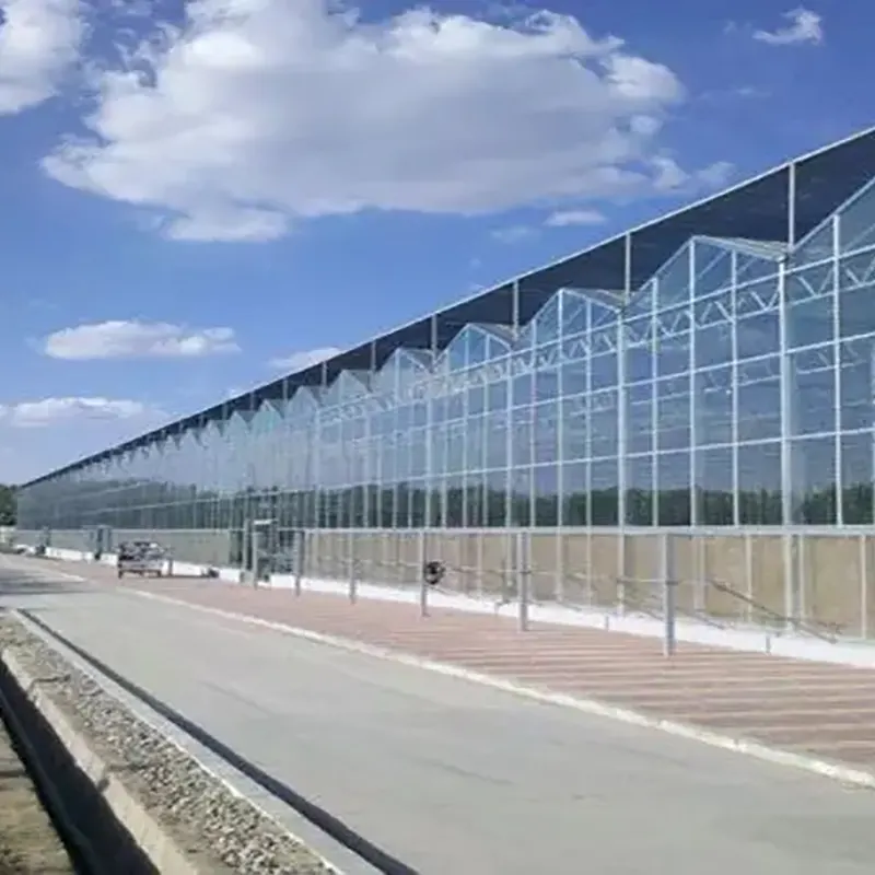 Kétoldalas fűrészfog típusú többfedelű üvegház