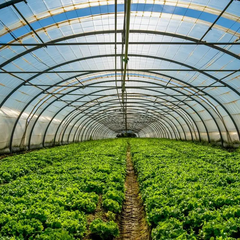 All-Steel Round Arch Solar Greenhouse