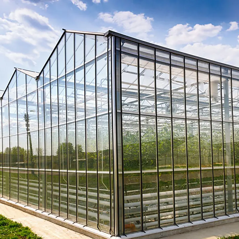 PC Plate Multi-Span Greenhouse