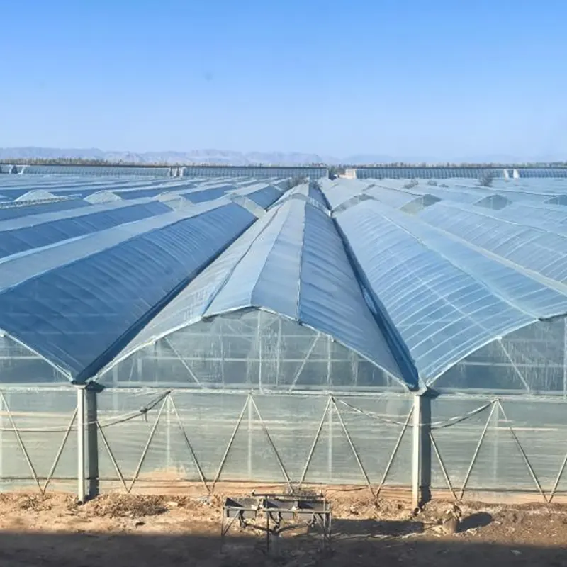 Film Multi-Span Greenhouses