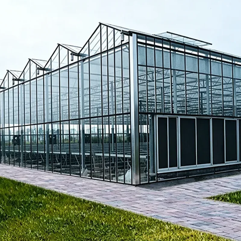 Low-E Glass Multi-Span üvegház
