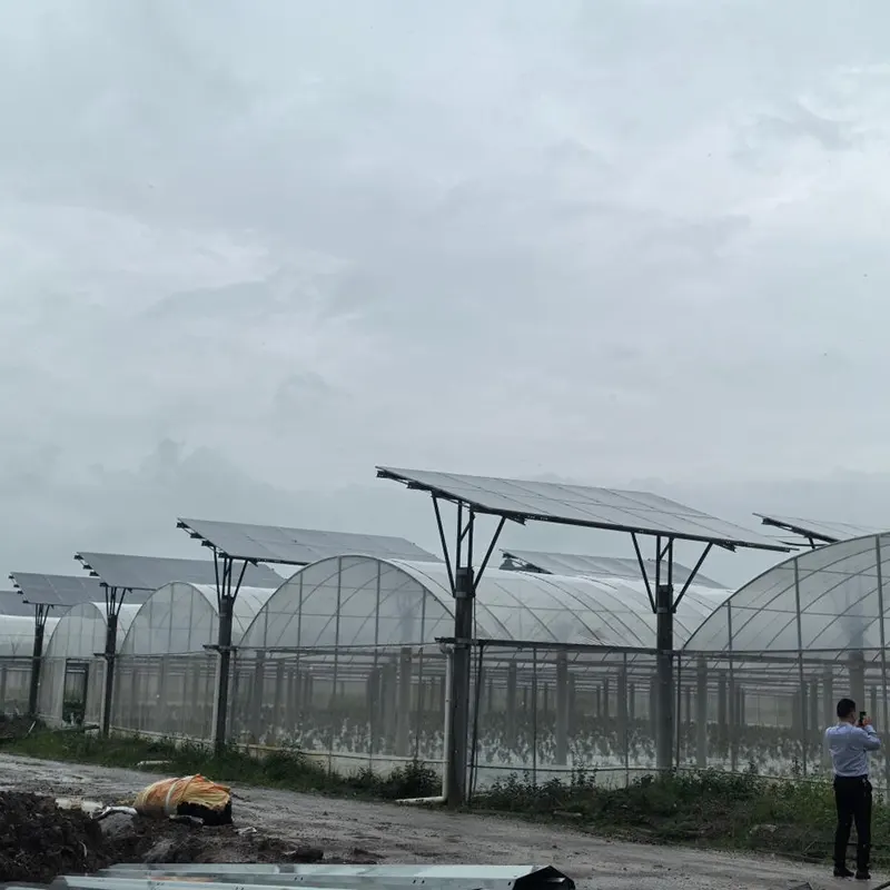 Többnyílású üvegház fotovoltaikus tetővel