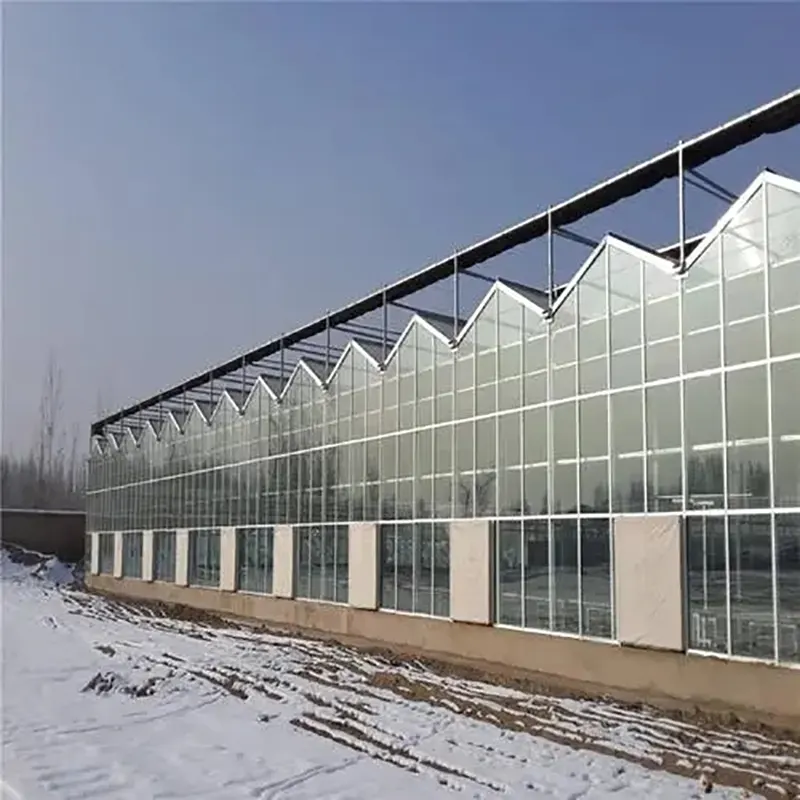Egyrétegű üveg többnyílású üvegház